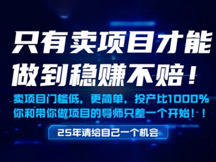 只有卖项目才能做到稳挣不赔，门槛低，更简单，你也可以年入百个W【揭秘】-苏柒资源库