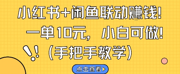 小红书+闲鱼联动挣钱，一单10元，小白可做-苏柒资源库