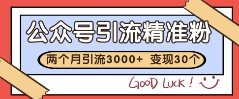 公众号精准粉引流玩法，2个月3000+精准粉，变现30个W【揭秘】-苏柒资源库