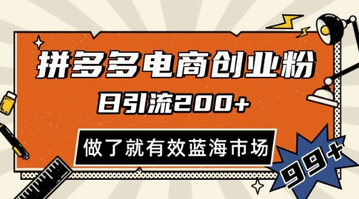 拼多多引流电商创业粉，日引200+，可矩阵放大，做了就有效【揭秘】-苏柒资源库