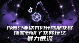抖音只要你有同行就能获客,独家野路子获客玩法,暴力截流【揭秘】-苏柒资源库