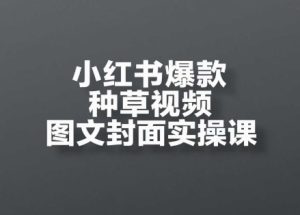 小红书爆款种草视频图文封面实操课,开店、选品、引流、变现全流程-苏柒资源库