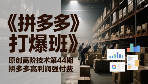 《拼多多打爆班》原创高阶技术第44期，拼多多高利润强付费-苏柒资源库