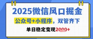 2025微信风口掘金,公众号+小程序双管齐下,单日稳定变现1k+【揭秘】-苏柒资源库