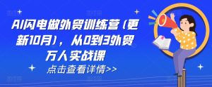 AI闪电做外贸训练营(更新25年5月),从0到3外贸万人实战课-苏柒资源库