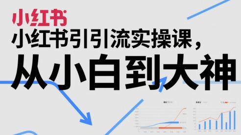 小红书引流实操课，从小白到大神-苏柒资源库