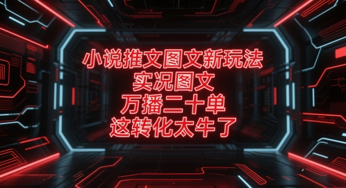 小说推文图文新玩法，实况图文，万播二十单，这转化太牛了！-苏柒资源库