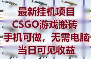 最新挂G项目,CSGO游戏搬砖,手机可做,无需电脑,当日见收益【揭秘】-苏柒资源库