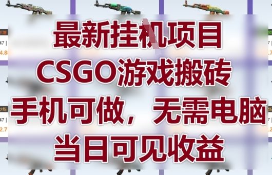 最新挂G项目，CSGO游戏搬砖，手机可做，无需电脑，当日见收益【揭秘】-苏柒资源库