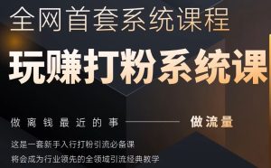 2025行业首套全网全域打粉系统神课,做流量做离钱最近的事,一套新手入行打粉引流必备课-苏柒资源库