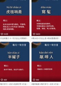 抖音最新涨粉玩法，图文方言暴力涨粉实操，126作品涨粉11W-苏柒资源库