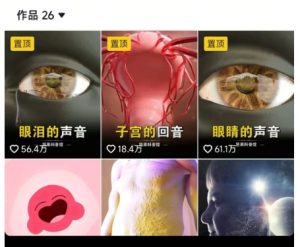 抖音坚果3D动画科普项目，撸视频号分成和抖音伙伴计划，适合零基础小白-苏柒资源库