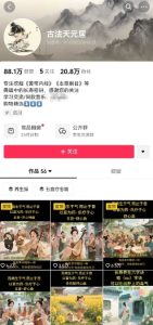 古法五音养生教程，五音疗愈的视频的制作方法，2-4小时就能学会，作者10天涨粉10W-苏柒资源库