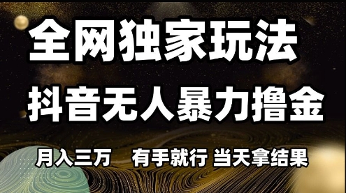 全网独家玩法抖音无人暴力撸金，月入3W，有手就行，当天拿结果【揭秘】-苏柒资源库