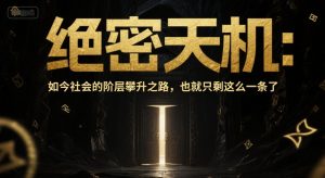 付费文章：绝密天机：如今社会的阶层攀升之路，也就只剩这么一条了-苏柒资源库