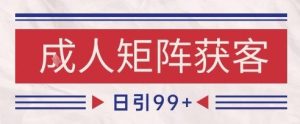 小红书某音橙人赛道引流获客，自热矩阵日引200+【揭秘】-苏柒资源库
