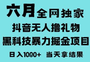 25年6月高爆抖音无人直播最新撸音浪掘金项目,门槛低小白可做,无脑日入1k,可矩阵放大【揭秘】-苏柒资源库