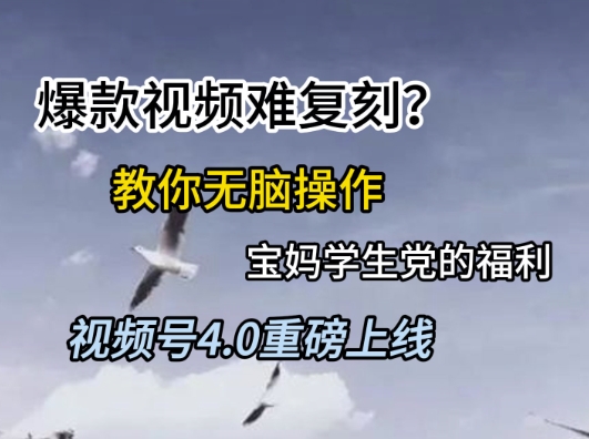 视频号4.0重磅上线，爆款视频难复刻？教你无脑操作宝妈学生党的福利【揭秘】-苏柒资源库
