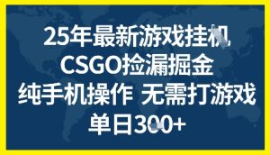 25年CSGO游戏搬砖,全自动挂G,不需要玩游戏,手机操作日入3张+【揭秘】-苏柒资源库