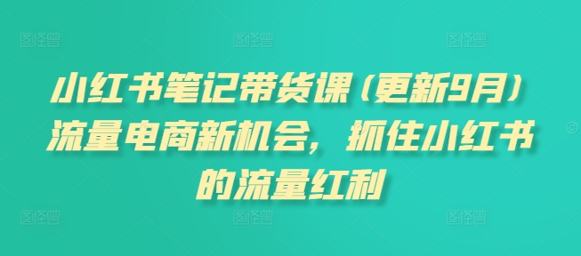 小红书笔记带货课(更新25年5月)流量电商新机会，抓住小红书的流量红利-苏柒资源库