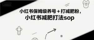 小红书保姆级养号+打减肥粉，小红书减肥打法sop-苏柒资源库