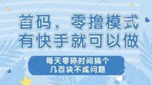 首码，零撸模式，有快手就可以做，每天零碎时间搞个几张不成问题【揭秘】-苏柒资源库