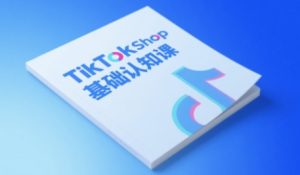 TikTok小店基础认知课，助力学员从 0 到 1 掌握 TikTok 电商运营全链路认知-苏柒资源库