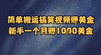 简单搬运搞笑视频挣美金，新手一个月入1k美金-苏柒资源库