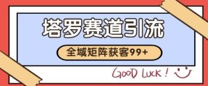 小红书某音塔罗赛道引流获客 自热矩阵日引200+【揭秘】-苏柒资源库