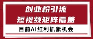 小红书某音创业赛道引流获客 自热矩阵日引200+【揭秘】-苏柒资源库