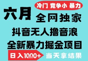 2025年6月高爆抖音无人直播最新撸音浪掘金项目,无脑日入1k+,低门槛小白可做,可矩阵放大【揭秘】-苏柒资源库