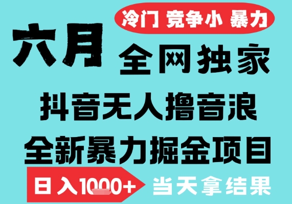 2025年6月高爆抖音无人直播最新撸音浪掘金项目，无脑日入1k+，低门槛小白可做，可矩阵放大【揭秘】-苏柒资源库