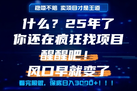 什么？25年你还在疯狂找项目做，醒醒吧，看完这些你全都懂了！【揭秘】-苏柒资源库