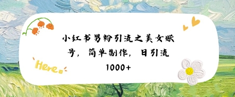 小红书男粉引流项目之美女账号6，简单制作，条条爆款原创，不违规-苏柒资源库