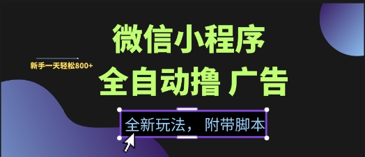 微信小程序全自动撸广告项目，彻底解决没流量的问题，新手一天8张+【揭秘】-苏柒资源库