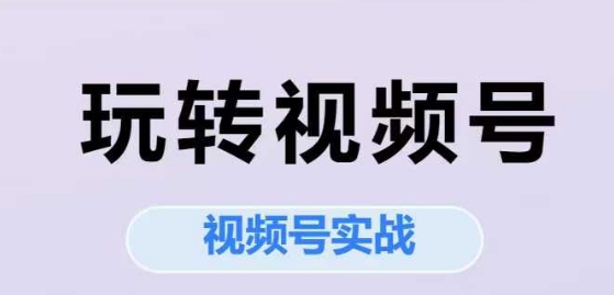 玩转视频号，视频号实战系列课-苏柒资源库