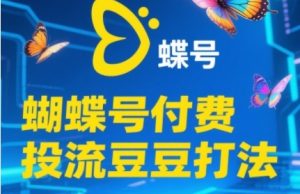 2025蝴蝶号付费投流豆豆打法,助新手快速掌握付费流量撬动自然流的核心玩法-苏柒资源库