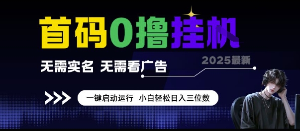 首码0撸挂G项目，无需实名无需看广告 一键启动运行，小白轻松日入三位数【揭秘】-苏柒资源库