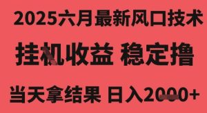 2025六月最新风口技术,无人挂G撸礼物,长期稳定 一个小时收益2k+,小白当天拿结果【揭秘】-苏柒资源库
