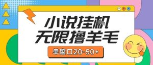 最新小说挂G自撸玩法本人实操单窗口20-50+可矩阵放大操作【揭秘】-苏柒资源库