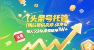 【头条号托管 】团队提供视频,你发布,每天5分钟,最高躺挣1W+【揭秘】-苏柒资源库