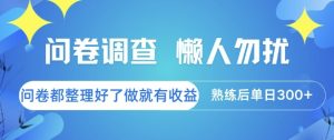 问卷调查，懒人勿扰，问卷都整理好了单价不等，做就有收益，熟练后单日3张【揭秘】-苏柒资源库
