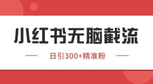 小红书截流同行客源,独家野路子获客玩法 日引200+暴力获客【揭秘】-苏柒资源库