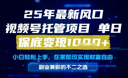 25年最新风口，视频号托管项目，单日保底变现1k+，手把手教学【揭秘】-苏柒资源库