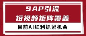 小红书某音sap赛道引流获客 自热矩阵日引200+【揭秘】-苏柒资源库