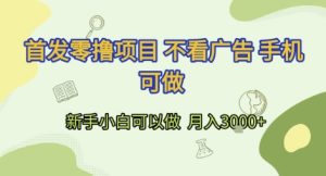 首发零撸项目 不看广告 手机可做 新手小白可以做 月入3k+【揭秘】-苏柒资源库