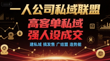 一人公司私域联盟，高客单私域，强人设成交，建私域 搞发售 广结盟 造势能-苏柒资源库