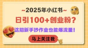 2025年小红书日引100+创业粉?这招新手抄作业也能爆流量!-苏柒资源库