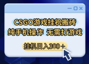 CSGO游戏挂G搬砖，小白纯手机即可操作，不用电脑打游戏，日入3张+，副业网创项目【揭秘】-苏柒资源库