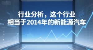 付费文章：行业分析，这个行业，相当于2014年的新能源汽车-苏柒资源库